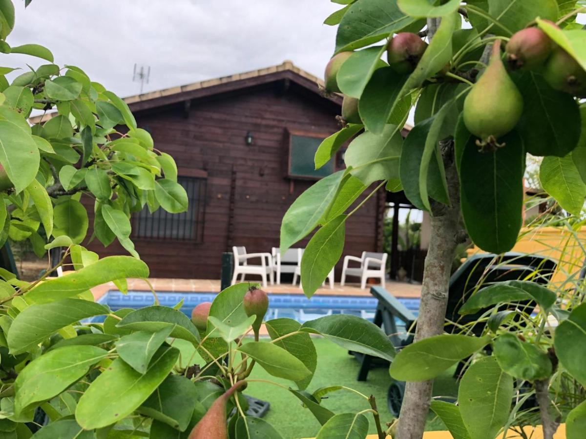Вилла Casa De Madera El Oasis El Palomar Севилья Экстерьер фото